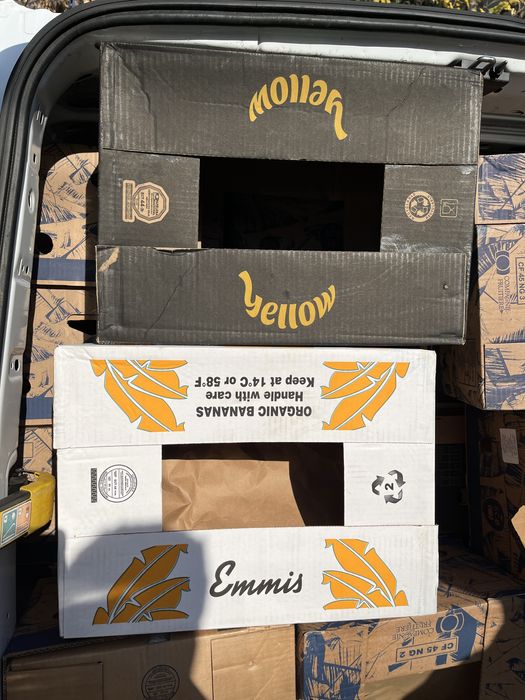 Baxuri de banane noi