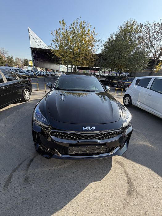 Kia stinger xolati alo darajada