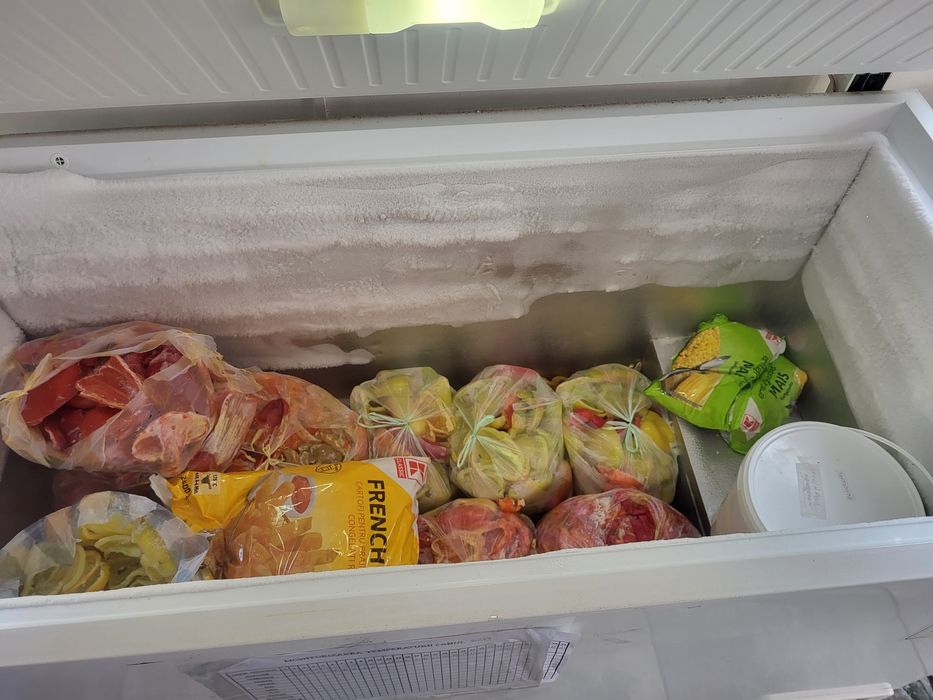 Lazî frigorifice de vânzare