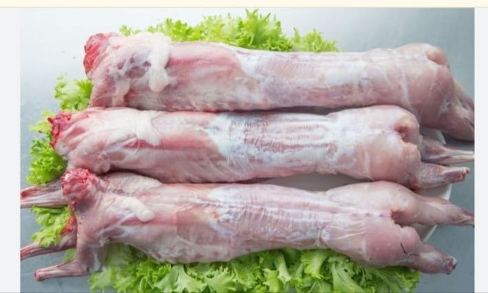 Мясо     кролика