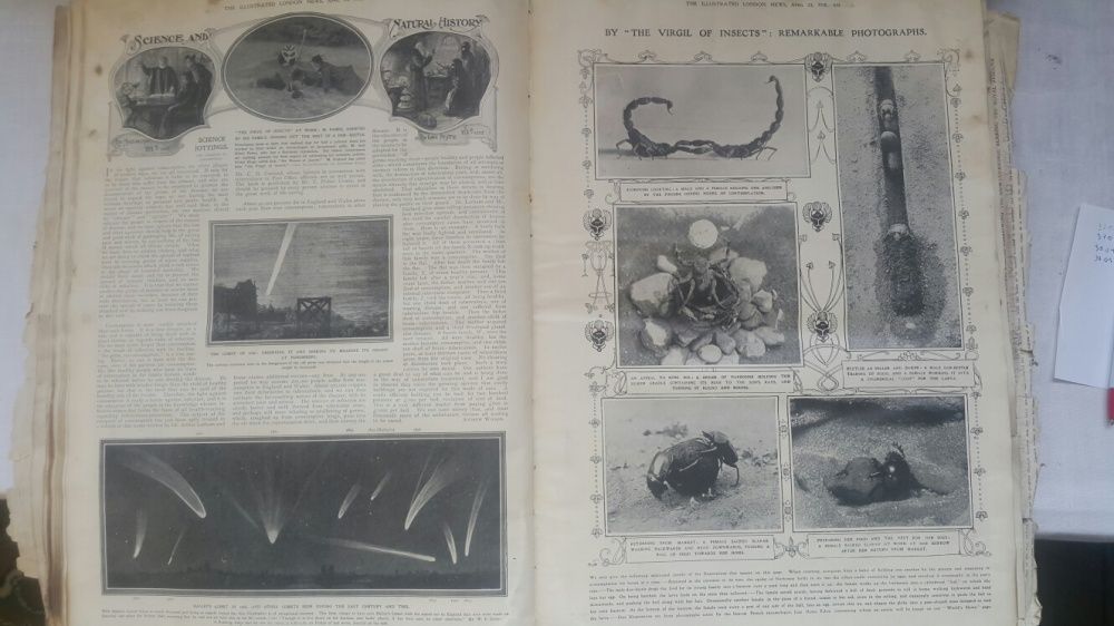 " The Illustrated London News" за 1910 год