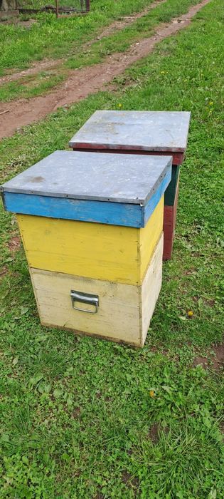 Ladă albine cu magazii și fără magazii