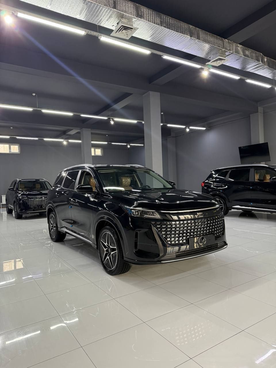 Dongfeng Fengon e5 EVR avtokredit bor