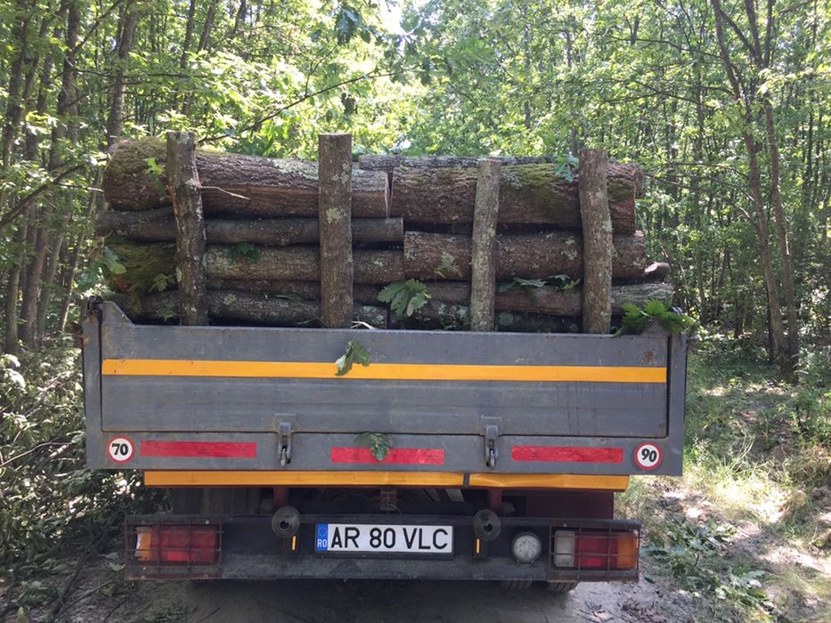 Lemne pentru orice familie