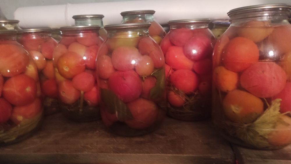 Помидоры соленые.