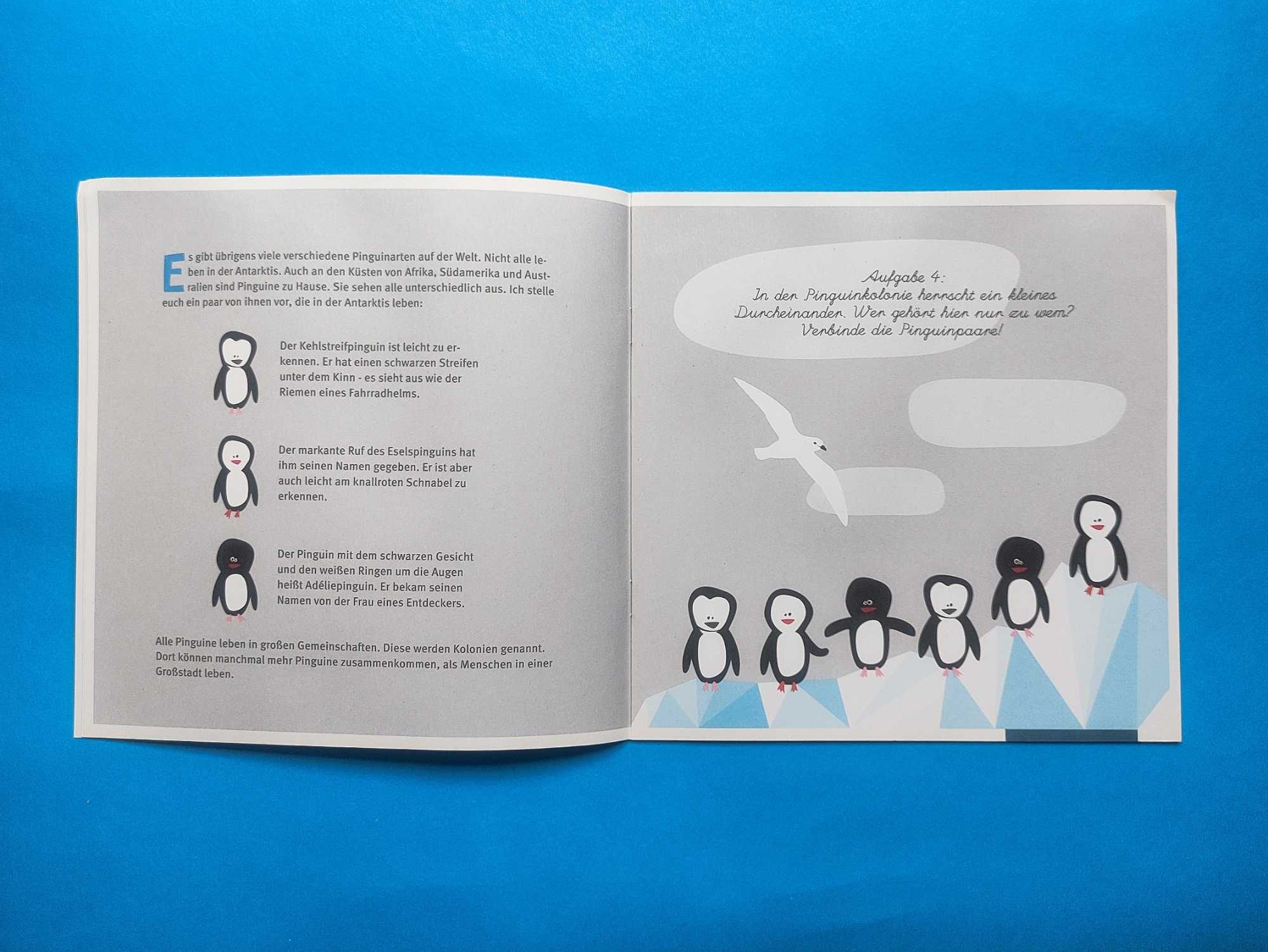 Интерактивная Книжка об Антарктике для Детей на Немецком Языке