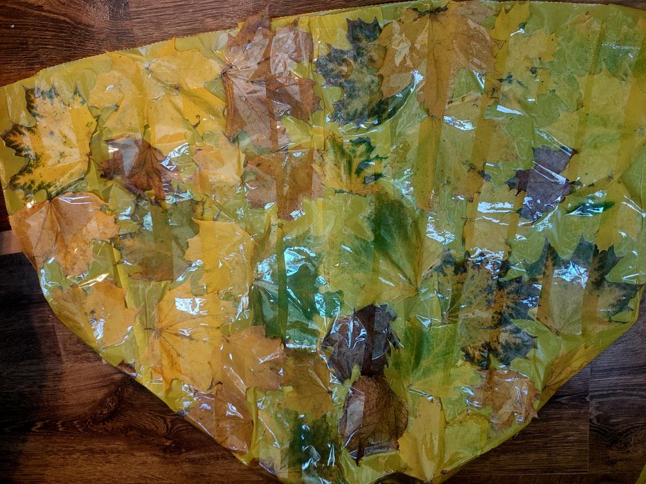 Costum material reciclabil Regele Toamnei