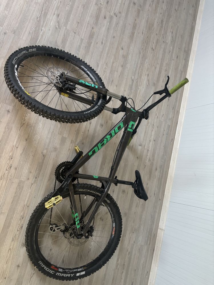Drag C1 comp 2022