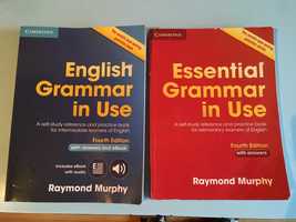 raymond murphy english grammar