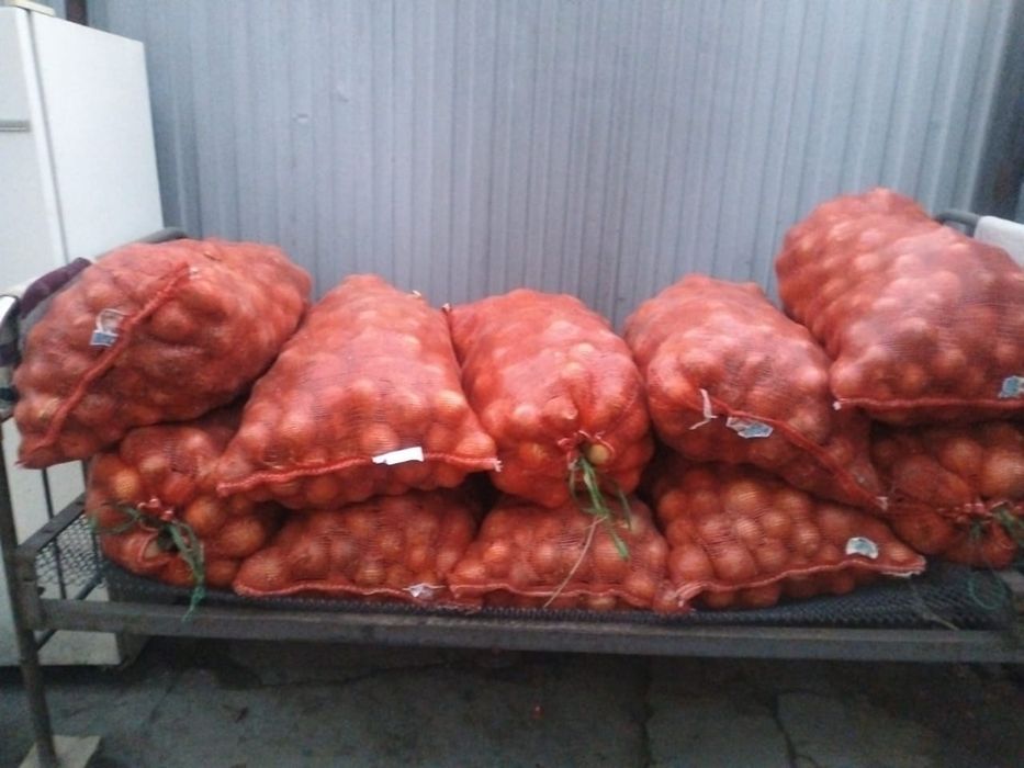 Пияз сатылады ірі жақсы