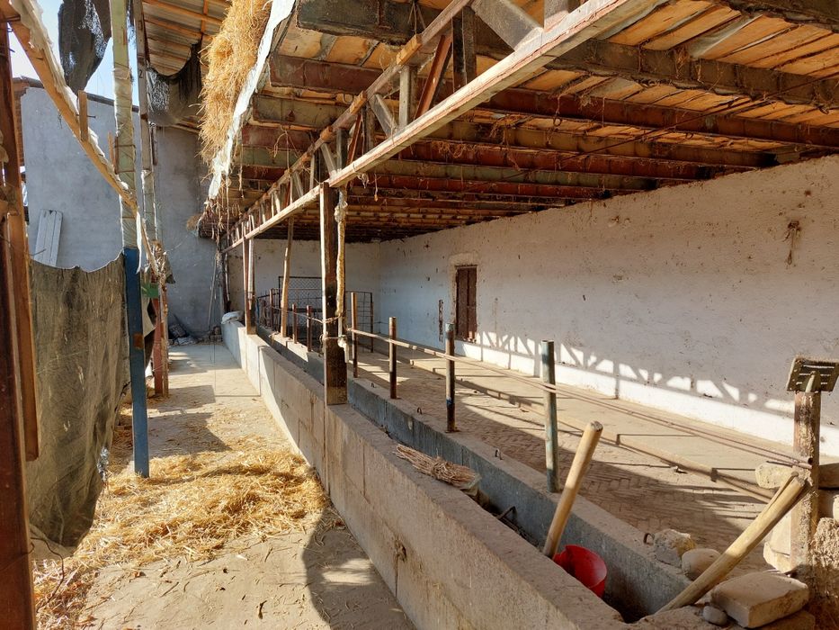 Tayor ferma sotiladi !