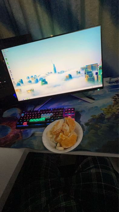 Dell Alienware 24inch 240hz FULL HD