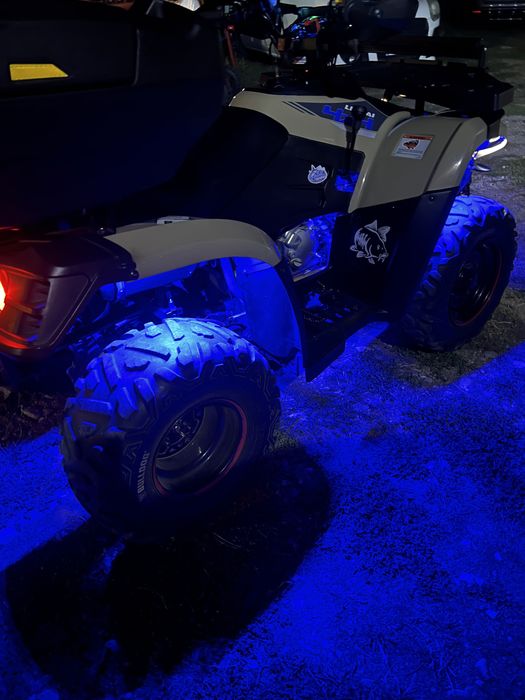 Linhai 300 EFI 2022