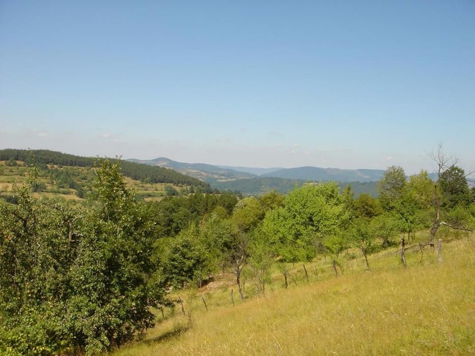 Продава се Парцел в Троян - 4821 кв.м за 8 €/кв.м - Снимка #3