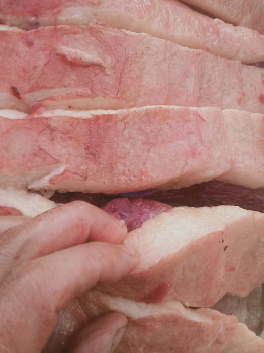 продам тай 1 сирак 150000 тенге