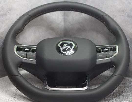 Руль (мультируль)