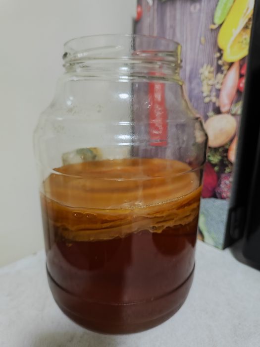 Продам чайный гриб