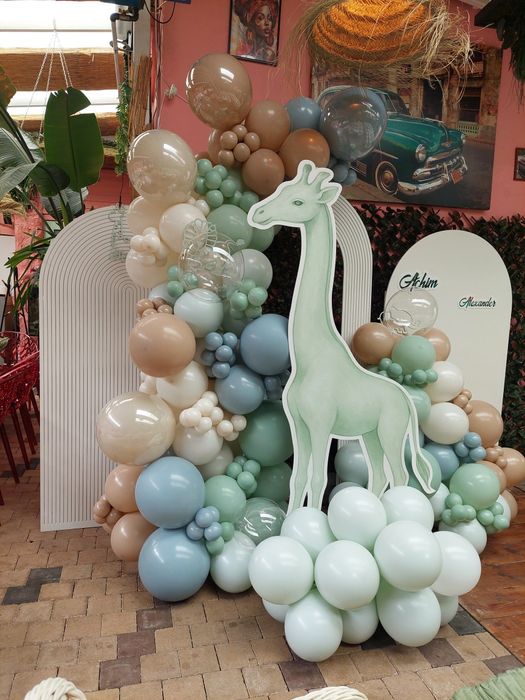 Baloane,botez . Pachet all inclusive 1000 lei