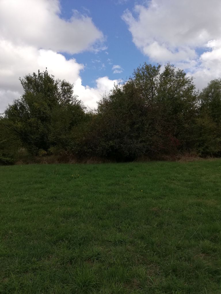 Продава се Парцел в с. Големо Бучино, Област Перник - 900 кв.м за 56 €/кв.м - Снимка #2