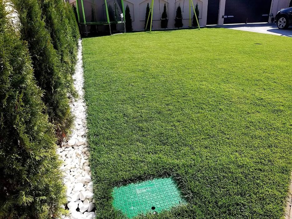 Tuia si gazon rulou peluza