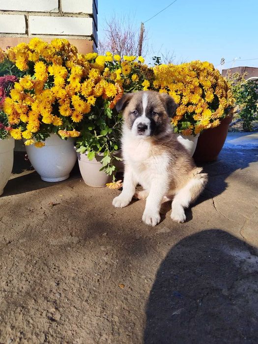 Ищем самых добрых мам и пап