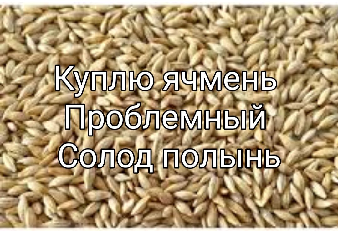 Ячмень проблемный