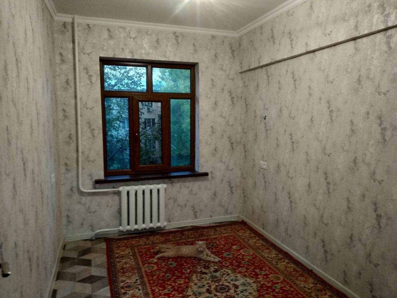 Сдается в аренду 3/3/4 каракамиш 2/4