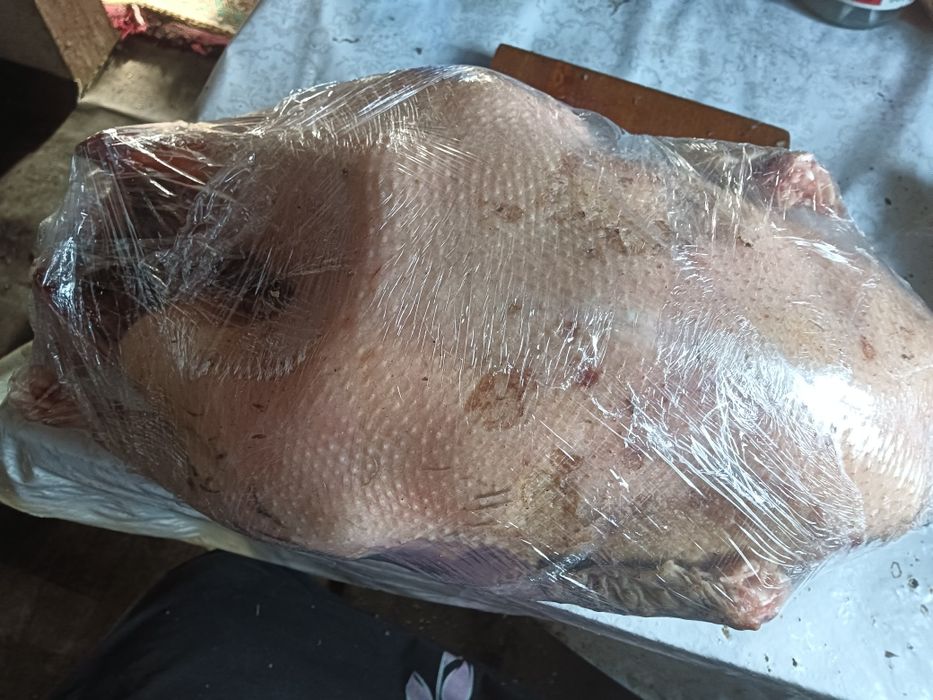 Продам тушки гусей