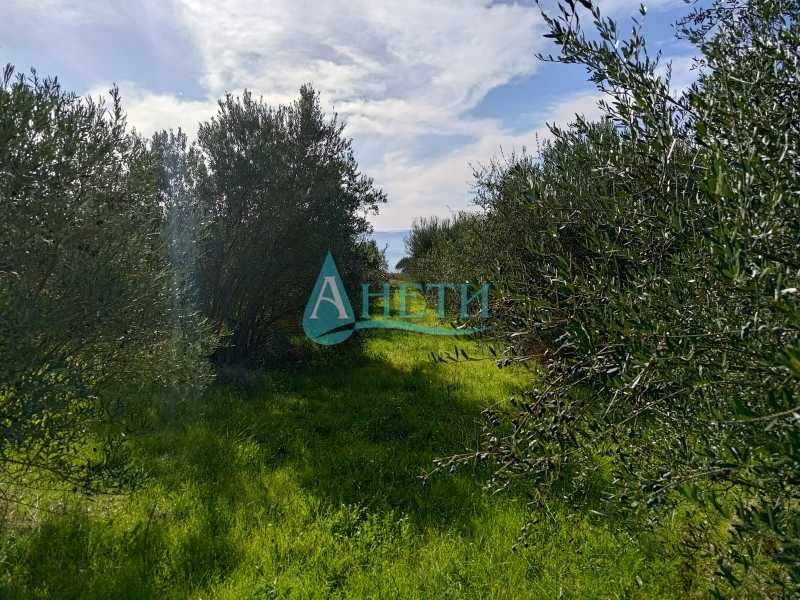 Продава се Парцел в София, Гео Милев - 2000 кв.м за 8 €/кв.м - Снимка #2