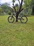 BMX GT black putin folosit