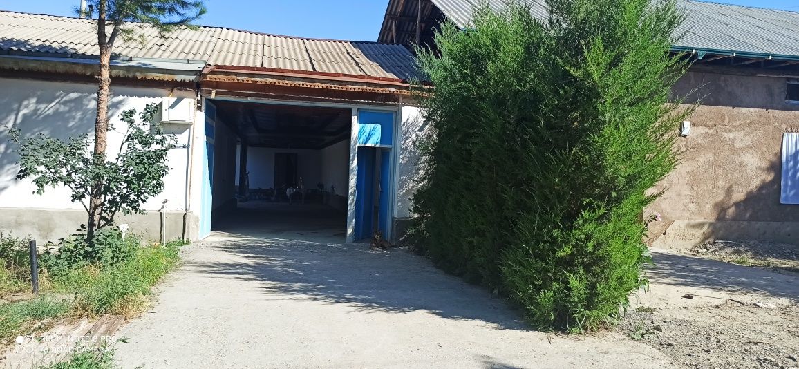Jizzax viloyati Sh.Rashidov tuman Uchtepa kotej sotiladi Uy narxini ke