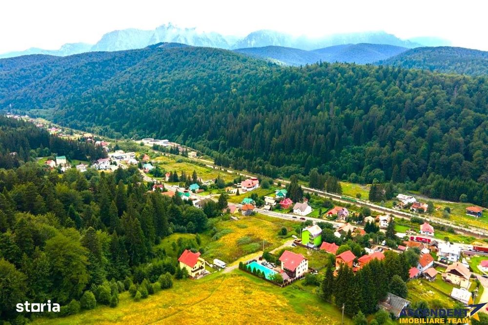 FILM &3D!! Arta si design in incantarea naturii, oportunitate rezident