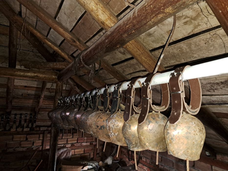 Хлопки. Чанове. Чан