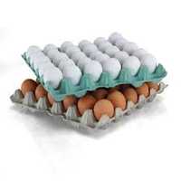 Cofraje oua izolație fonica