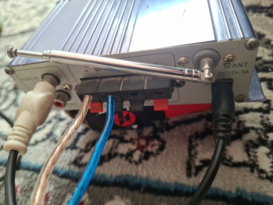 Кентигер хитой усилитилча