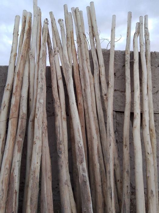 Шу тераклар сотилади