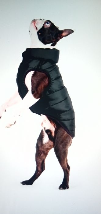 Pat ortopedic pentru animale de talie medie 70x58x18cm, Gri