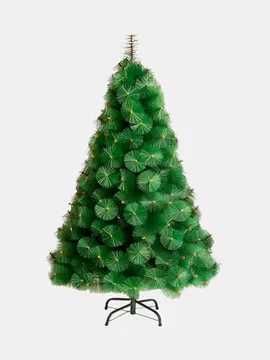 арча archa в ташкенте