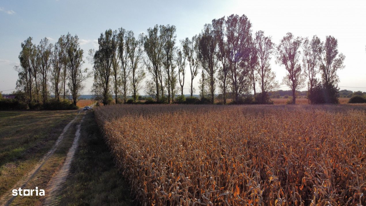 Teren rezidential retras langa lac SNAGOV in Silistea Snagovului, DN1,
