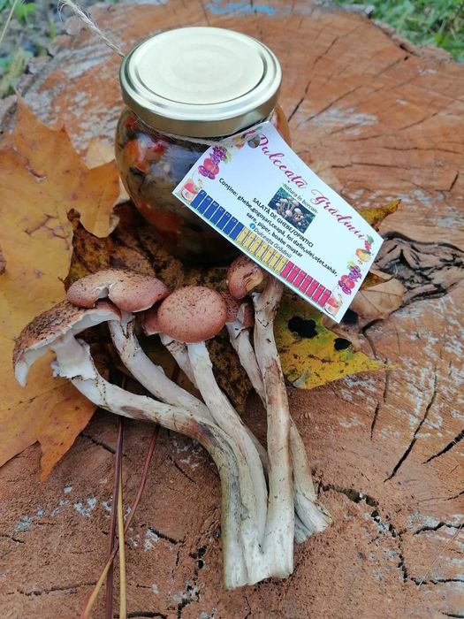 Sirop, nectar, dulceată