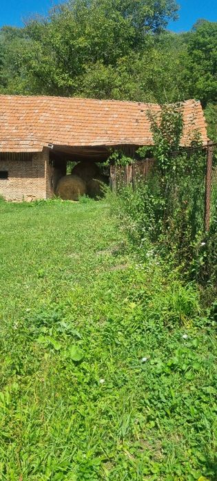 Casa de vânzare în jud Sibiu sat Metiș