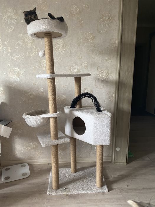 Домик для кошки