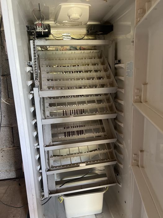 Инкубатор для яиц