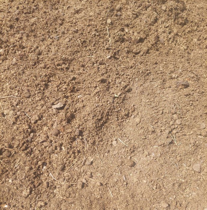 Навоз конины и коровы