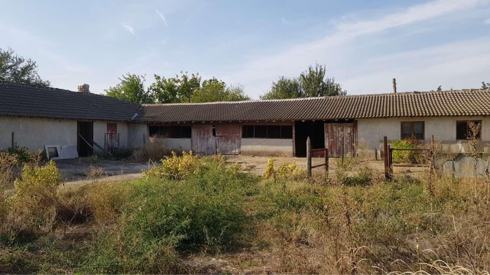 Дава се под наем Промишлена сграда в с. Йорданово, Област Силистра - 950 кв.м за 250 € - Снимка #1