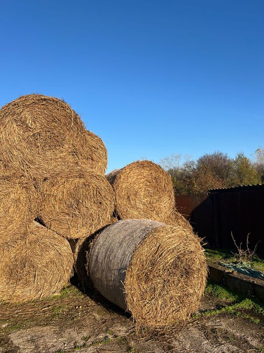 Vând baloți preț 130 lei