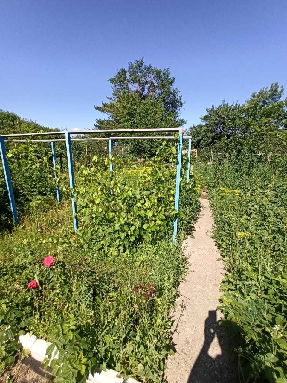 Продам дачу с домиком