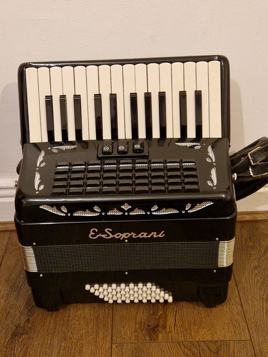 Acordeon mic pentru copii