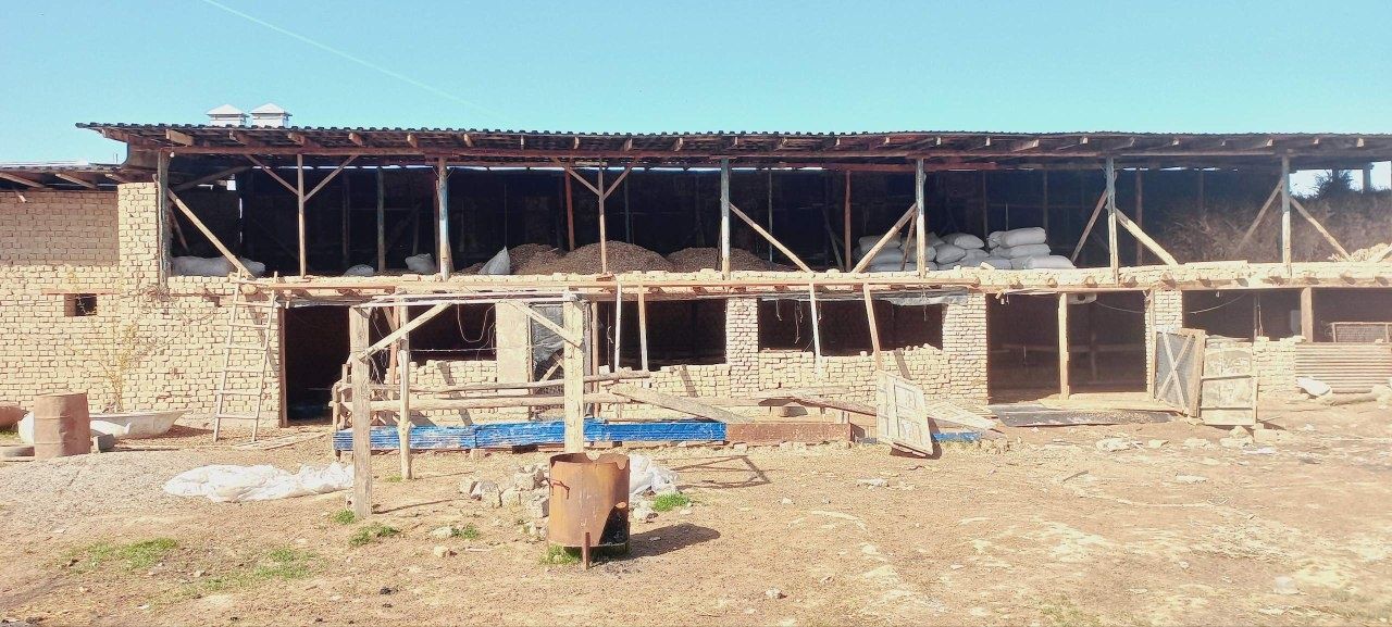 Toshkent viloyati da ferma sotiladi 26 sotik