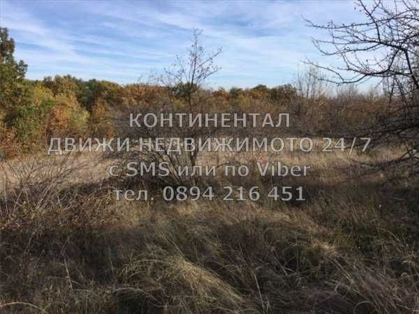 кодг 62060. Нива 19600м2 на 200 метра от язовир и 1 км от селото
